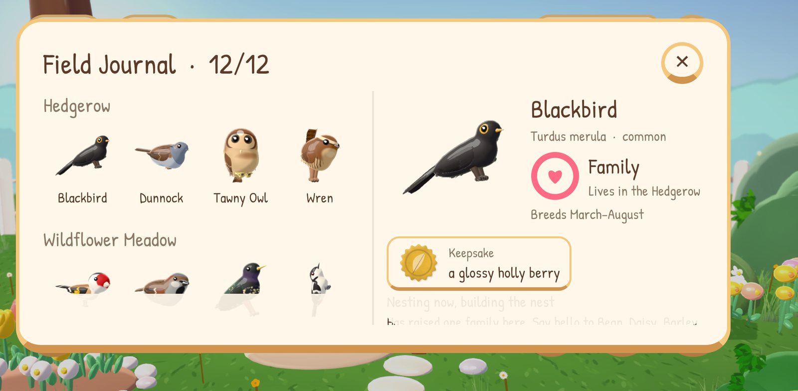 The Field Journal with all 12 birds found, open at the Blackbird: a Family friend that nests in the Hedgerow and gave a glossy holly berry as a keepsake